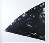 Ellsworth Kelly (American, 1923)