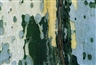 Sheldon Collins, Winking with Clyfford at yet Another Nearby Appearance of The Vast