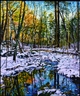 Ken Schneider Watercolor and Oils - Grace Chosy Gallery