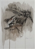 Contemporary Paintings and Prints - James Adam & Sons