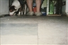 Richard Billingham, Untitled (RAL36)