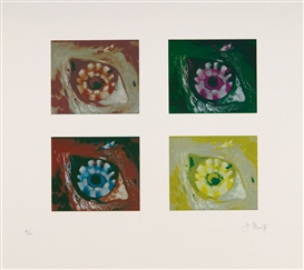 Georg Muche, Nemisee / Auge der Diana / Variographien