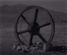 Linda Connor, Untitled
