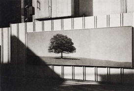 Nathan Lyons, Untitled (Tree mural)