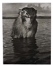 Hansel Mieth, Santiago Island, Caribbean (Mad Monkey).