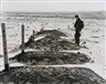 Hansel Mieth, Graves at Hart Mountain, Wyoming Internment Camp