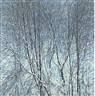 Viktor Tikhonov, Winter motive