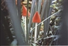 Lothar Baumgarten, Selected images, 1968-1972