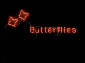 Runa Islam, Utterlies/Butterflies