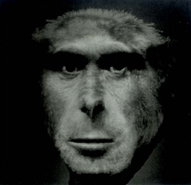 Nancy Burson, Evolution II, 1984