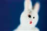 Larry Gianettino,  White Rabbit, 1994-96 