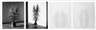 Charles Gaines, Shadows VII
