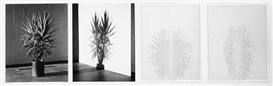 Charles Gaines, Shadows VII