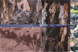 Carolee Schneemann, Caged Cats II