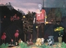 Audrey Nervi, GERILLA NATURE MORTE