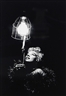 Sam Shaw, Marilyn Monroe
