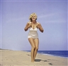 Sam Shaw, Marilyn Monroe on the beach, Easthampton
