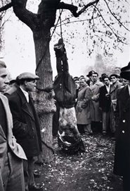 Erich Lessing, "Upheaval in Hungary, 20 Years Later." Together, 2 photographs