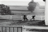 Timm Rautert, Ohne Titel (Aus der Serie The Amish)