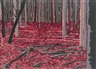 Francesca Gabbiani, Paper Needles