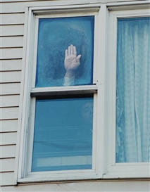 Rachel Harrison, Untitled (Perth Amboy Series)