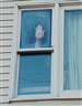Rachel Harrison, Untitled (Perth Amboy Series)