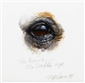 Richard McLean, No Double's Eye