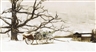 Andrew Wyeth, MOORE'S