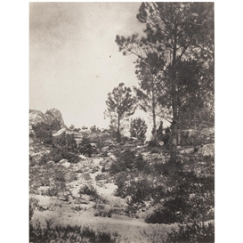 Eugène Cuvelier, Pines in winter, Fontainebleau Forest, c. 1860