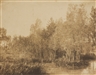 Eugène Cuvelier, Paysage au bord d'une rivière, 1852