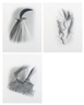 Marta María Pérez Bravo, sin título; donde tengo mi confianza: a group of photographs