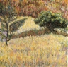 Giacomo Balla, ALBERI E SIEPE A VILLA BORGHESE