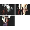 Miwa Yanagi, A TRANSIENT WORLD
