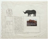 Mark Dion, Untitled