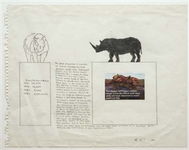 Mark Dion, Untitled
