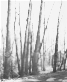 Bill Jacobson, Thought Series #311-4