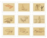 Andrea Zittel, Rules of Raugh Portfolio
