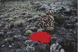 Beverly Semmes, Red in the Landscape (Side View)