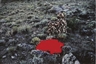 Beverly Semmes, Red in the Landscape (Side View)