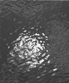 Bill Jacobson, Thought Series #740