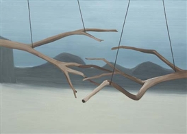 Tina Gillen, Cage IV