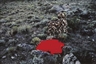 Beverly Semmes, Red in the Landscape (Side View)