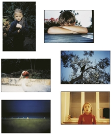 Stefan Banz, Selected images from i built this garden for us