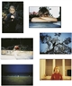 Stefan Banz, Selected images from i built this garden for us