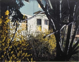 Tim Davis, McDonald's 1, Forsythia