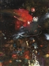 Alisa Margolis, Untitled