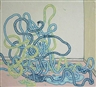 Taylor McKimens, Cords