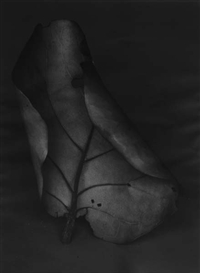 Peter Campus, Traces of Memory