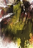 Shozo Shimamoto, Sans titre