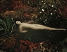 Nadav Kander, Erin O’Connor (After Millais) , 2004